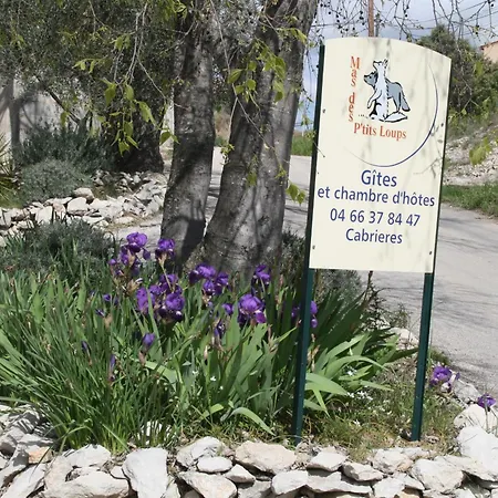 Holiday home Mas Des Petits Loups Cabrieres (Gard)
